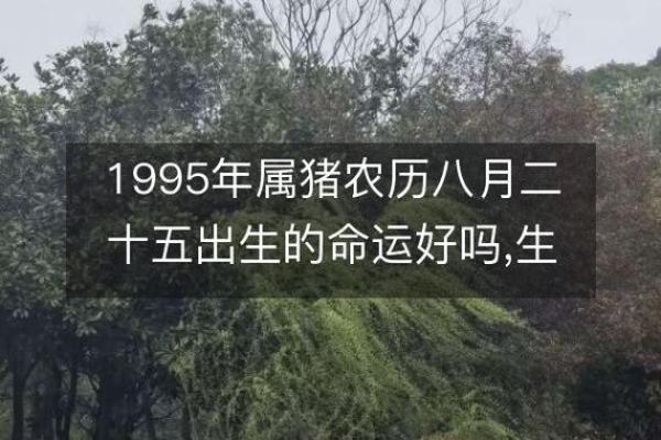 1982年农历命运解析：在变化中寻找方向与激情