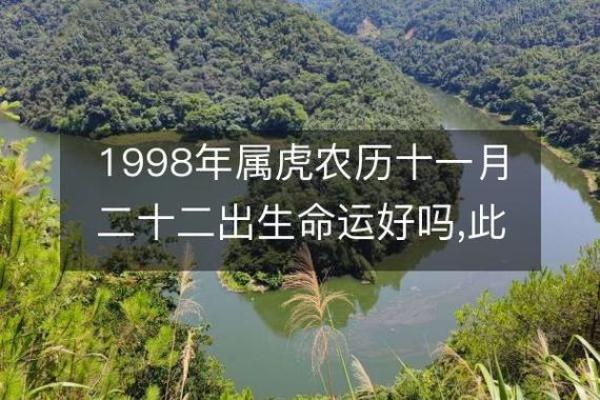 戊寅城头土命与其他命局的完美搭配探寻