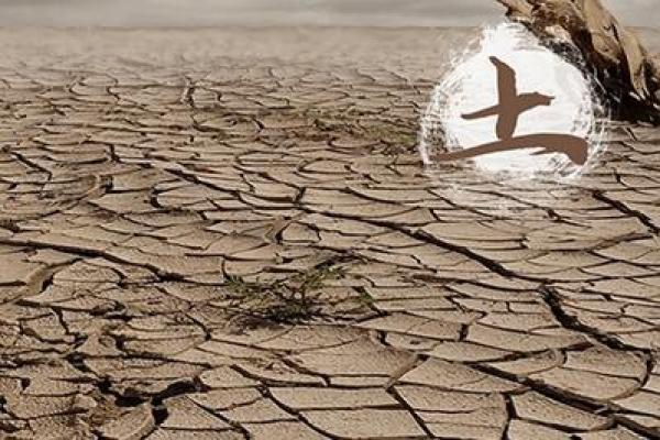 土命男与哪些命的人最配?探索他们的契合与和谐之道 土命男与哪些命的人最配?探索他们的契合与和谐之道