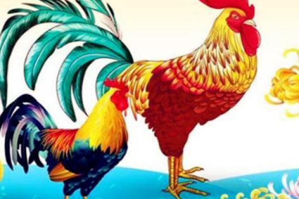 2005年属鸡命运解析：走出人生的辉煌与挑战之路