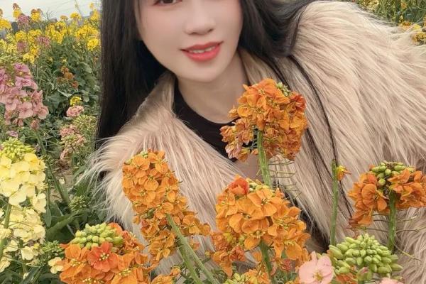 女孩子的命是菜籽命：缘何如此？解析背后深意与启示