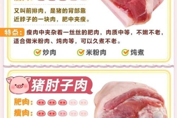 透析“猪”的命运：细说其第二条命的奥秘与智慧