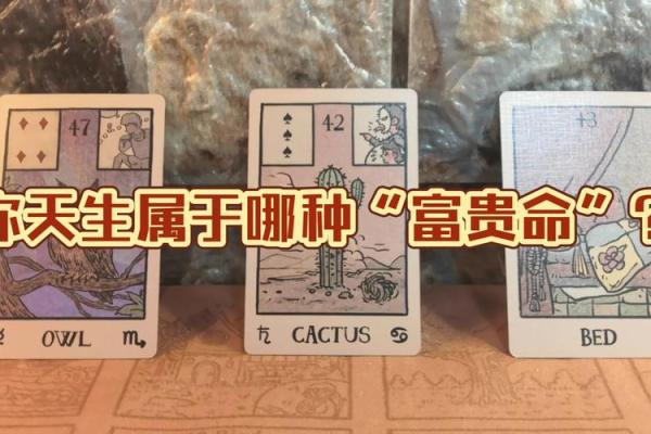 富贵命的阴影:反向命运的深思与启示 富贵命的阴影:反向命运的深思与启示