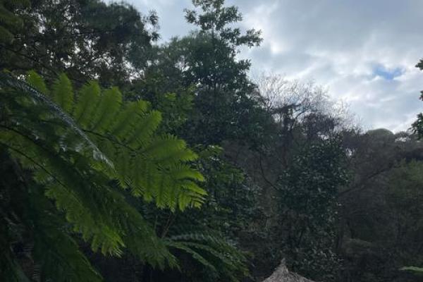 解读20020命运：探索命理与人生的奥秘