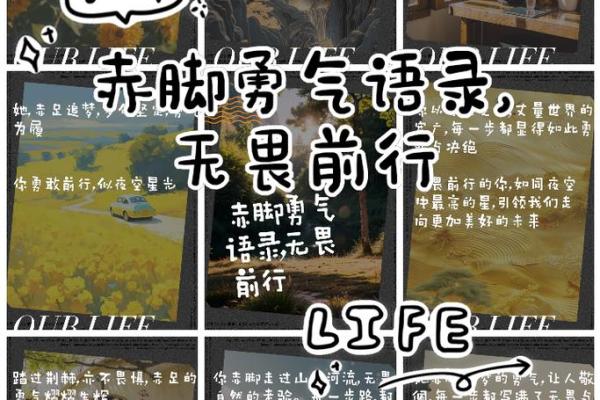 2022虎年回顾:勇敢前行,寻求内心的力量与成长之路 2022虎年回顾:勇敢前行,寻求内心的力量与成长之路