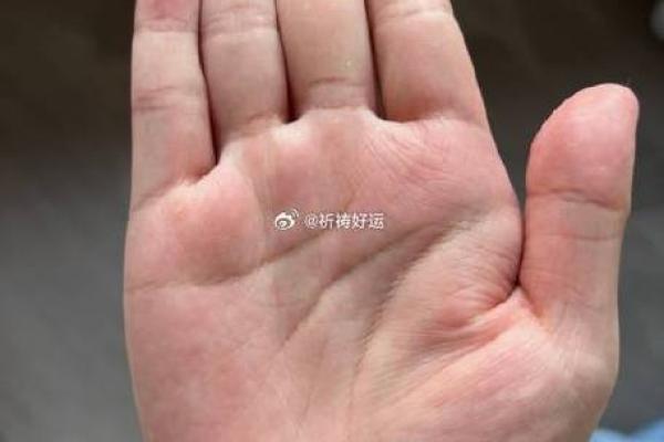 算命中的强命与弱命,了解命运之奥秘! 算命中的强命与弱命,了解命运之奥秘!