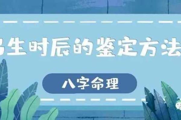 亥时出生的女孩：命理解析与人生指引