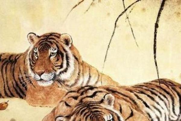 1986年属虎是什么命：揭开生肖与命理的神秘面纱