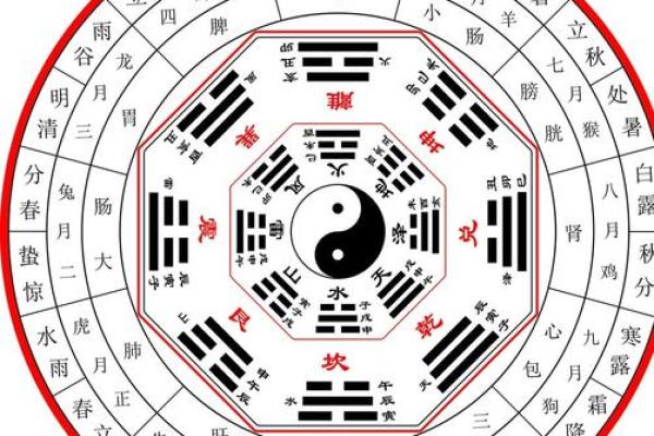 震命厨房方位:提升家居运势的秘密所在 震命厨房方位:提升家居运势的秘密所在