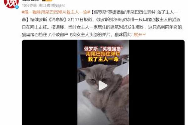 《开局一命换一命:命运交织的奇幻旅程》 《开局一命换一命:命运交织的奇幻旅程》