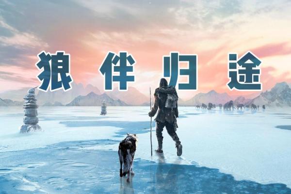 《开局一命换一命:命运交织的奇幻旅程》 《开局一命换一命:命运交织的奇幻旅程》