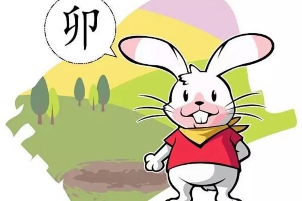 1987年出生的人：属兔，今年几岁，命理分析与生活建议