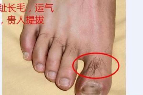 透过脚指头的长短,解读你的命运与个性! 透过脚指头的长短,解读你的命运与个性!
