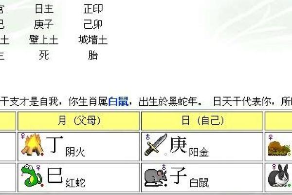 92年农历属什么命？揭开命理之谜，助你找到人生方向！