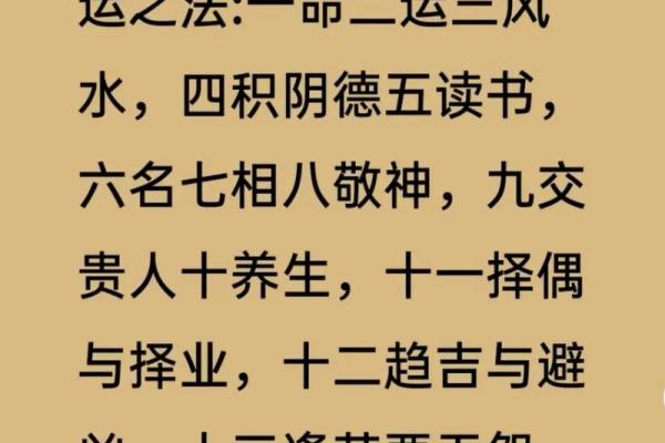 “一命换六命”：老实人在复杂社会中的生存哲学与价值观探讨