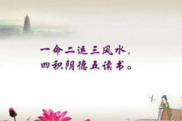 “一命换六命”：老实人在复杂社会中的生存哲学与价值观探讨