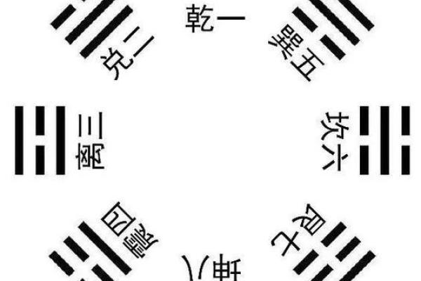 81年午时女命解析：阴阳五行与命运的交织之美