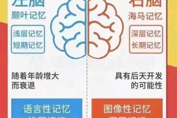 2月26日出生的人：命运与个性的深度剖析