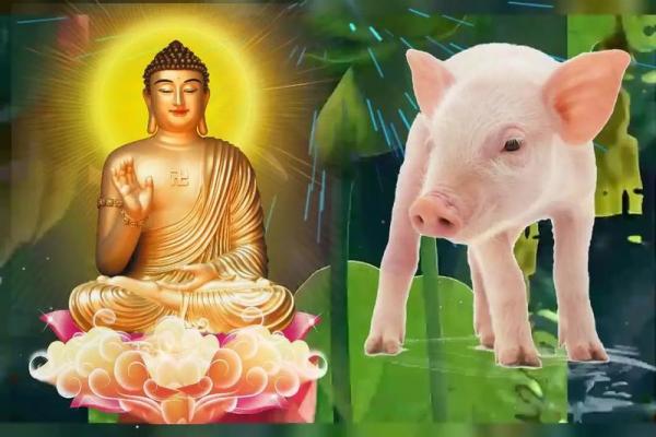 1983年属猪人的婚配解析:如何选择命中注定的伴侣? 1983年属猪人的婚配解析:如何选择命中注定的伴侣?