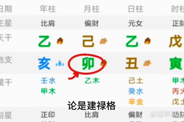 木命太旺的影响及其避免的因素探讨