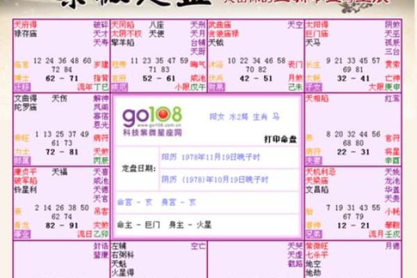 紫薇命盘中的离乡之谜:探寻命理与命运的交织 紫薇命盘中的离乡之谜:探寻命理与命运的交织