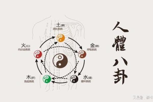 命理学的多维视角:探索阴阳五行与现代生活的结合 命理学的多维视角:探索阴阳五行与现代生活的结合