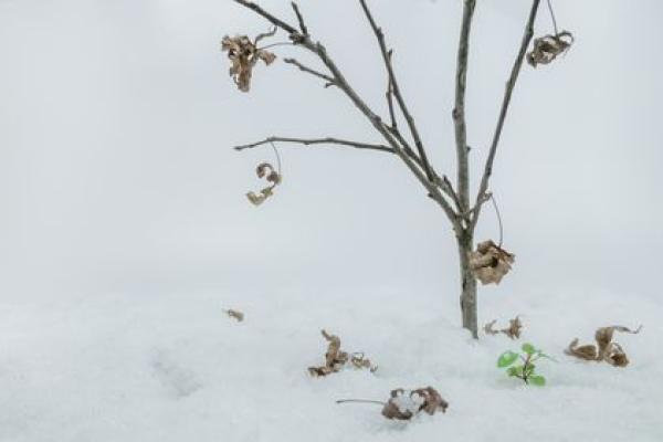 一命偿一命:探讨生命的取舍与轮回之道 一命偿一命:探讨生命的取舍与轮回之道