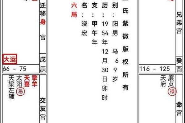 1999年是什么命：星宿与命运的交织探索