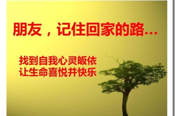 中年丧子:命运的考验与心灵的重生 中年丧子:命运的考验与心灵的重生