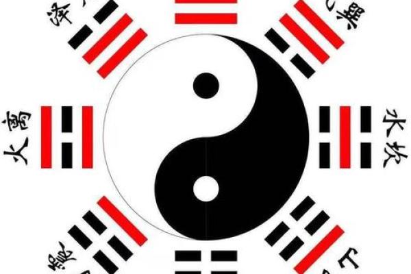 86年出生的人命理解析与配对指南 86年出生的人命理解析与配对指南