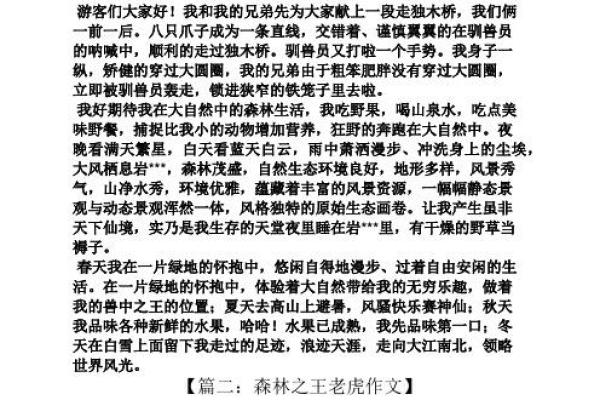 2023年虎命运概述：勇敢与挑战并存的生活旅程