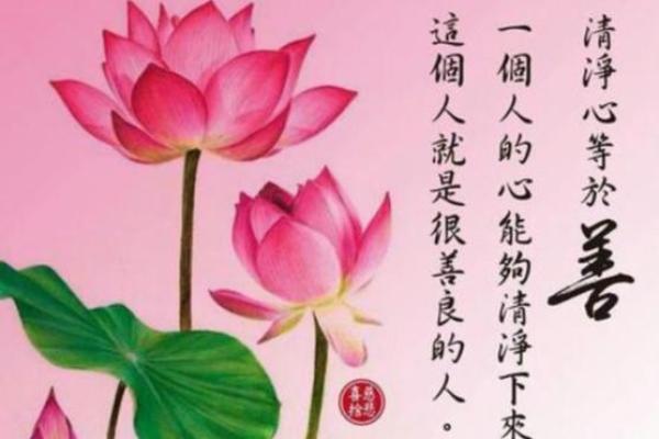 命运之舞:让我们探寻成语的智慧与人生的意义 命运之舞:让我们探寻成语的智慧与人生的意义