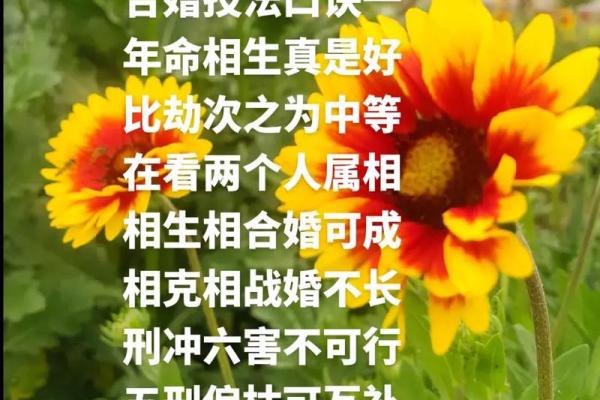 88年命的人适合从事什么工作?职业选择全解析! 88年命的人适合从事什么工作?职业选择全解析!