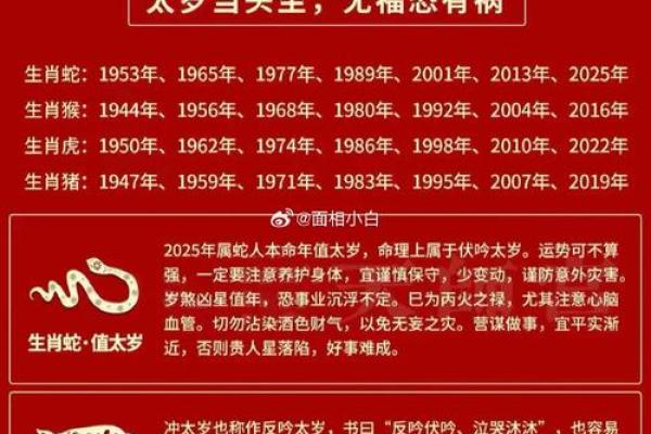 1962年虎年命运与性格：揭秘虎年的魅力与挑战