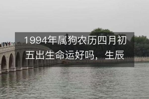 1958年属狗的人命运解析：智慧与坚韧的象征