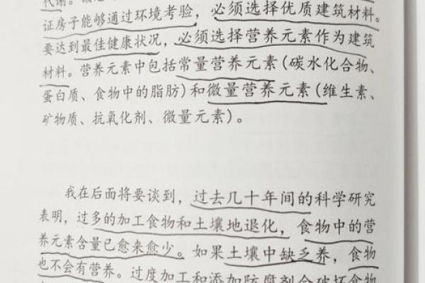 93年出生的命运解析：如何解读人生与运势的密码