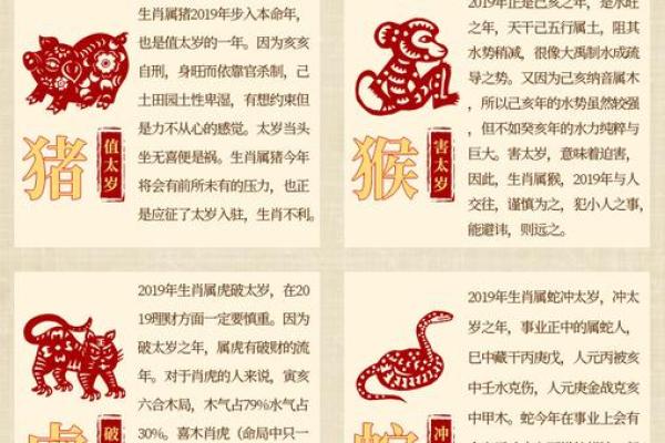 88年出生的人属什么？解读属相与命理的奥秘