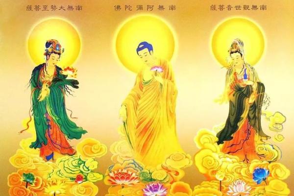 癸未日出生的男命：命理解析与人生智慧之光