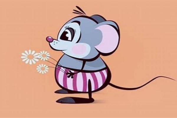 1996年属鼠:金命与人生的精彩篇章 1996年属鼠:金命与人生的精彩篇章