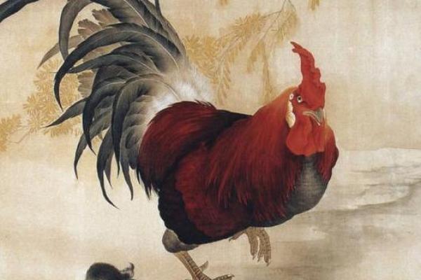 93年属鸡命缺什么：探寻提升命运的关键与智慧