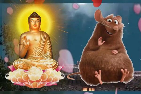 96年属相鼠:智慧与机遇并存的命运解析 96年属相鼠:智慧与机遇并存的命运解析