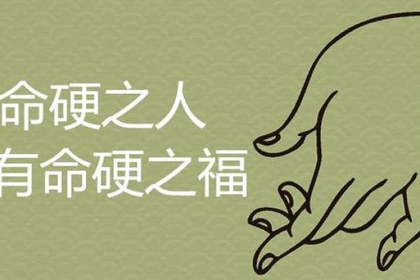 命运多舛:命硬之人的人生轨迹与成长之路 命运多舛:命硬之人的人生轨迹与成长之路