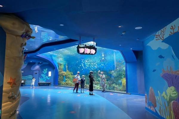 关于“得过炸腮”的人，命运的奇妙之旅