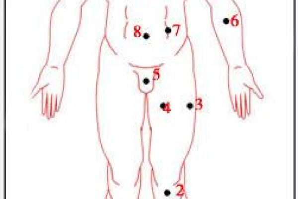 92年与95年出生的人命运分析:解密人生轨迹与性格特征 92年与95年出生的人命运分析:解密人生轨迹与性格特征