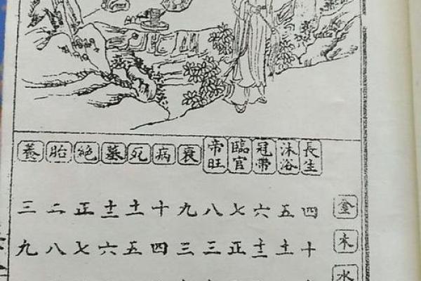 1935年木命人：命理解析与人生启示