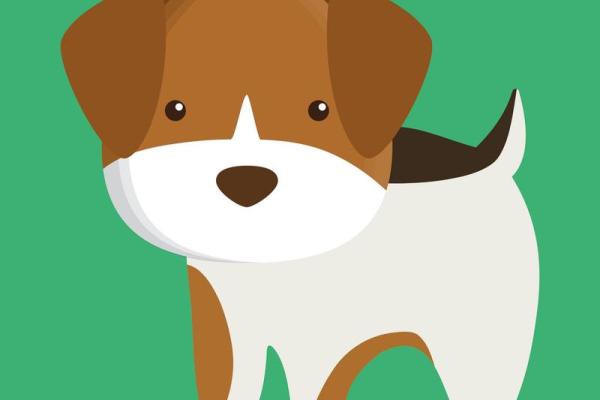 狗年出生的人,怎样看待自己的命运与性格? 狗年出生的人,怎样看待自己的命运与性格?