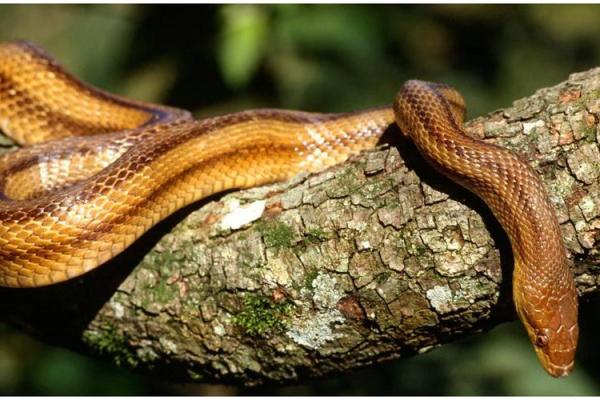 木命人的生活与事业：如何提升运势和幸福感