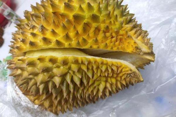 揭开榴莲命的神秘面纱:命理学中的独特解析与人生指引 揭开榴莲命的神秘面纱:命理学中的独特解析与人生指引