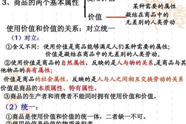 揭开历史的面纱：大变命时期的深刻影响与启示