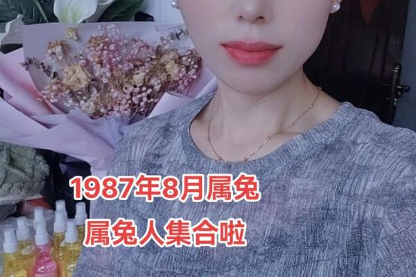 1987年属兔人的命运解析与性格特点 1987年属兔人的命运解析与性格特点